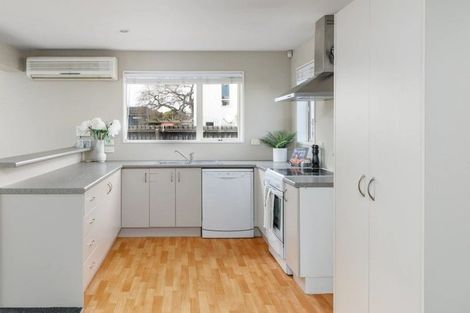 Photo of property in 523b Saint Asaph Street, Phillipstown, Christchurch, 8011