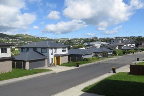 Photo of property in 17 Cresswell Place, Johnsonville, Wellington, 6037