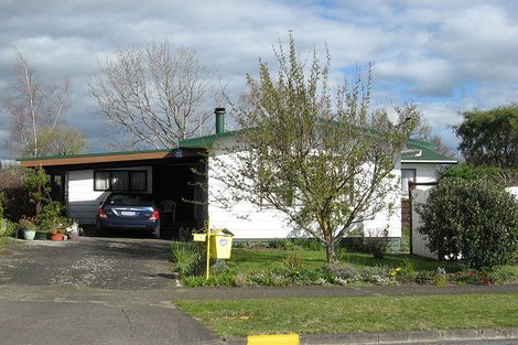 Photo of property in 20 Mount View Place, Waipukurau, 4200