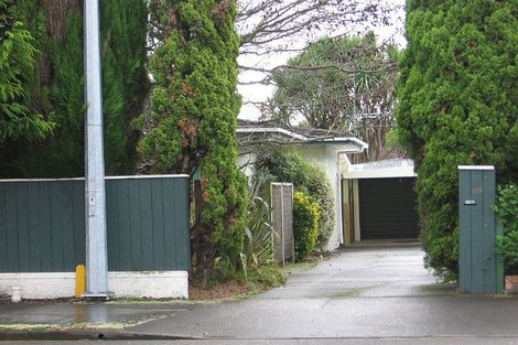 Photo of property in 49 Te Awe Awe Street, Hokowhitu, Palmerston North, 4410