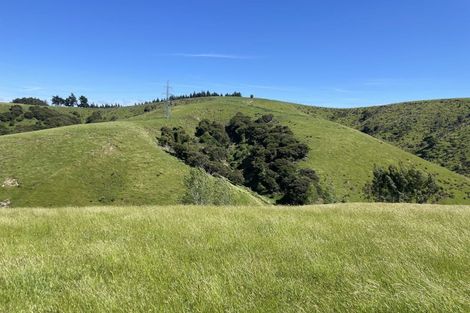 Photo of property in 47 Oopunga Road, Pukekohe, 2120