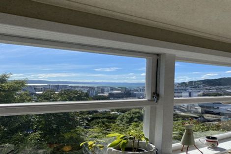 Photo of property in 53 Thompson Street, Mount Cook, Wellington, 6011