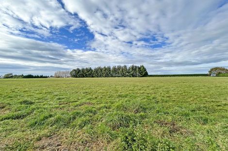 Photo of property in 137 Seaward Road, Edendale, 9825
