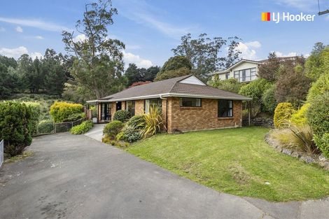 Photo of property in 62 Barr Street, Kenmure, Dunedin, 9011