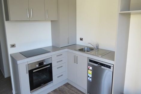 Photo of property in 17u1 Enderley Avenue, Enderley, Hamilton, 3214