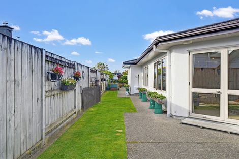 Photo of property in 50 Fitzroy Street, Terrace End, Palmerston North, 4410