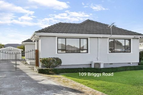 Photo of property in 107 Briggs Road, Shirley, Christchurch, 8052