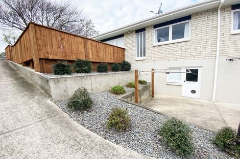 Photo of property in 4a The Drive, Brookfield, Tauranga, 3110