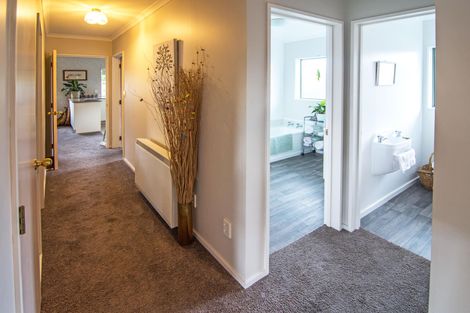 Photo of property in 52 Cambridge Terrace, Masterton, 5810