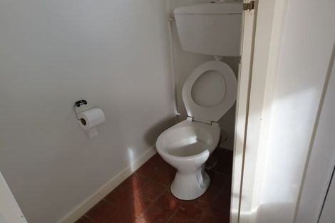 Photo of property in 24 Hinau Street, New Lynn, Auckland, 0600