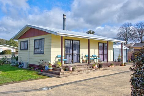 Photo of property in 10 Hogg Crescent, Masterton, 5810