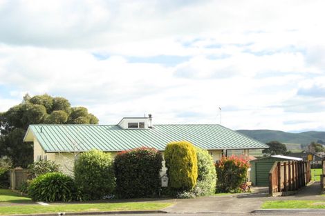 Photo of property in 16 Mount View Place, Waipukurau, 4200