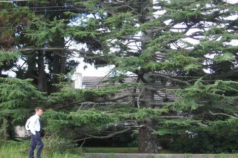 Photo of property in 31 Rathgar Road, Henderson, Auckland, 0610