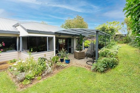 Photo of property in 51 Sunnyhills Avenue, Glenview, Hamilton, 3206