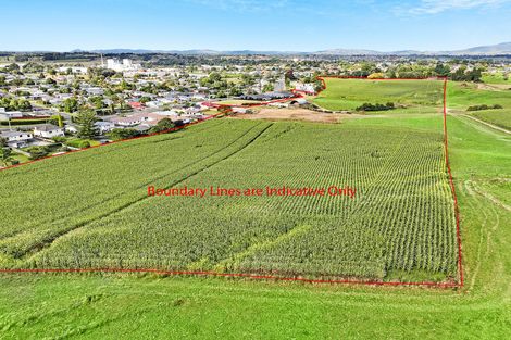 Photo of property in 1599 Rewi Street, Te Awamutu, 3800