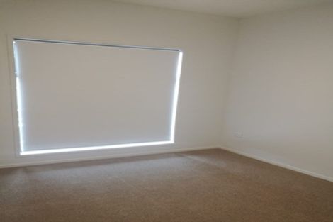 Photo of property in 17 Owens Place, Mount Maunganui, 3116