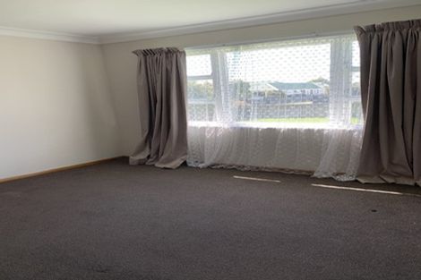 Photo of property in 55 Trafalgar Street, Levin, 5510
