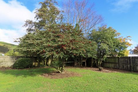 Photo of property in 35 Cavell Street, Reefton, 7830