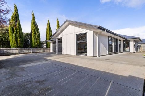 Photo of property in 27b Tyne Street, Roslyn, Palmerston North, 4414