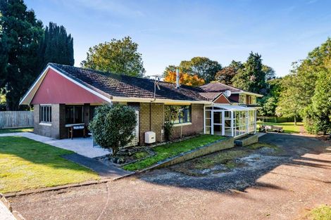 Photo of property in 13 Regan Street, Stratford, 4332