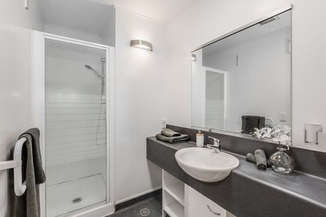 Photo of property in Dixonlane Apartments, 5/7 Feltex Lane, Te Aro, Wellington, 6011