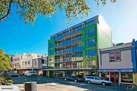 Photo of property in Dual Apartments, 508/142u Vivian Street, Te Aro, Wellington, 6011