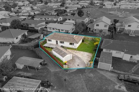 Photo of property in 49 Dungarvon Place, Clendon Park, Auckland, 2103