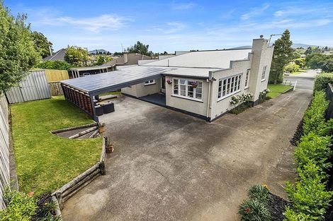 Photo of property in 251 Goodfellow Street, Te Awamutu, 3800