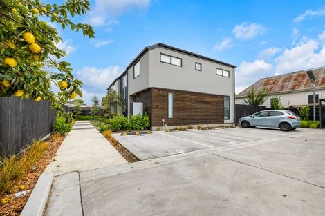 Photo of property in 4/89 Champion Street, Edgeware, Christchurch, 8013