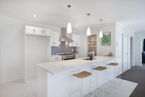 Photo of property in 5 Belize Grove, Grenada Village, Wellington, 6037