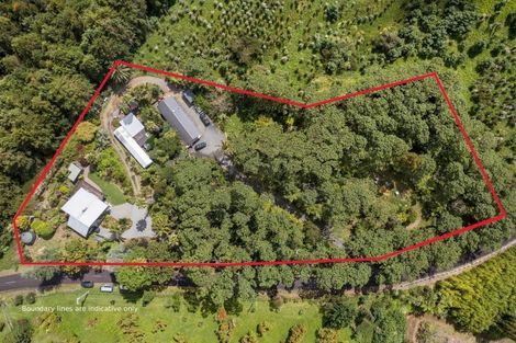 Photo of property in 38 Grammer Road, Tahawai, Katikati, 3170