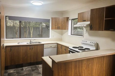 Photo of property in 119a Maxwells Line, Awapuni, Palmerston North, 4412
