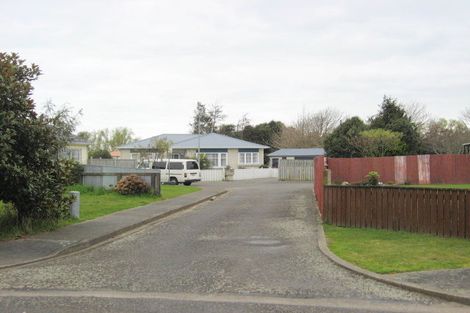 Photo of property in 24b Douglas Street, Levin, 5510