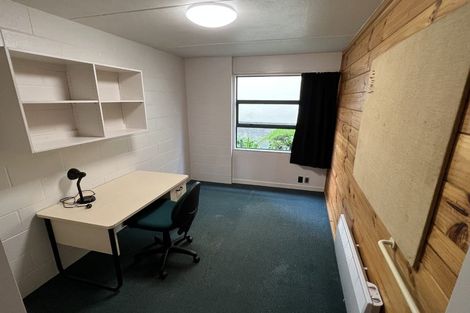 Photo of property in Te Awhina Apartments, 19/22u Sussex Street, Mount Cook, Wellington, 6021