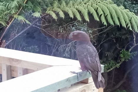 Photo of property in 88 Cecil Road, Wadestown, Wellington, 6012