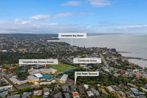 Photo of property in 23a Peter Terrace, Castor Bay, Auckland, 0620