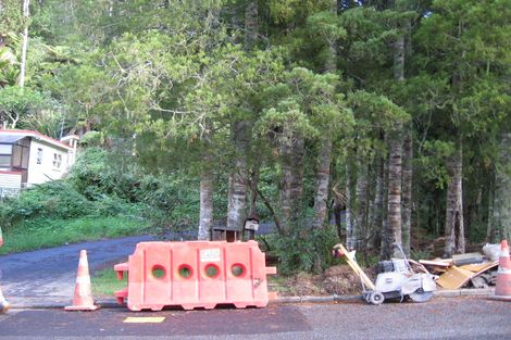 Photo of property in 45 Sylvan Valley Avenue, Titirangi, Auckland, 0604