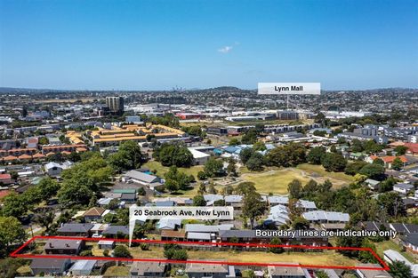 Photo of property in 20 Seabrook Avenue, New Lynn, Auckland, 0600