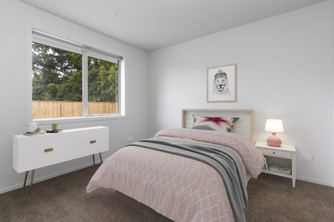 Photo of property in 41u2 Ross Crescent, Fairfield, Hamilton, 3214