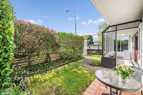 Photo of property in 3/45 Royal Street, Upper Hutt, 5018