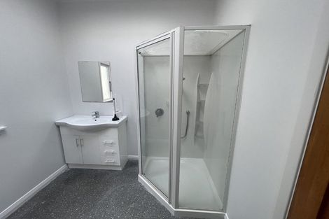 Photo of property in 60a Rakau Road, Hataitai, Wellington, 6021