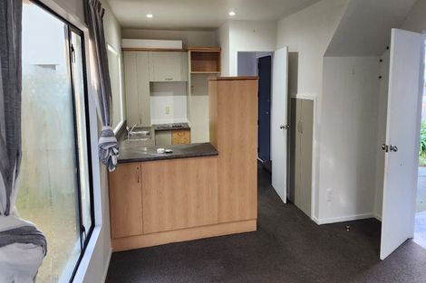 Photo of property in 3/2 Leamington Street, Addington, Christchurch, 8024