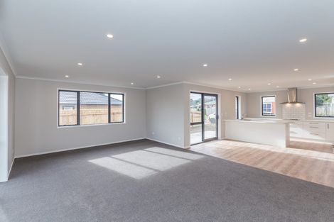 Photo of property in 93 Fairfield Road, Levin, 5510