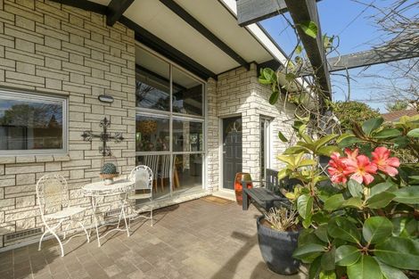 Photo of property in 17 Linklater Avenue, Bellevue, Tauranga, 3110
