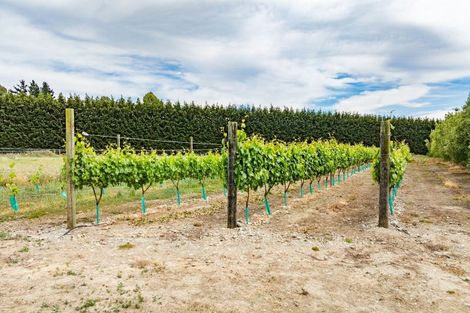 Photo of property in 375 Sharlands Road, Dunsandel, Rakaia, 7783