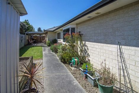 Photo of property in 48a Church Street, Masterton, 5810