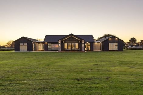 Photo of property in 1203 Camerons Line, Aorangi, Feilding, 4775