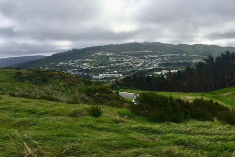 Photo of property in 9a Grumman Lane, Newlands, Wellington, 6037