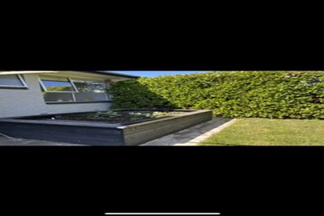 Photo of property in 1007 Colombo Street, St Albans, Christchurch, 8014