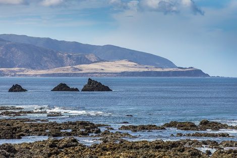 Photo of property in 441 The Esplanade, Island Bay, Wellington, 6023